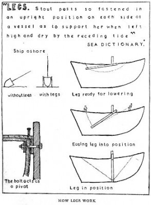 sea-bear's-legs.jpg