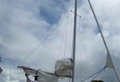 Margarita 002a (Small).jpg
