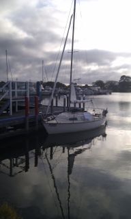 IMAG0546.jpg